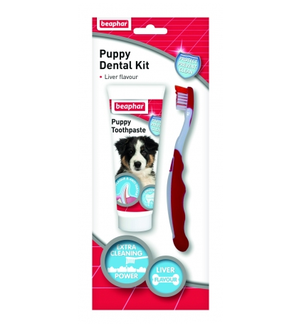 Puppy Dental Kit