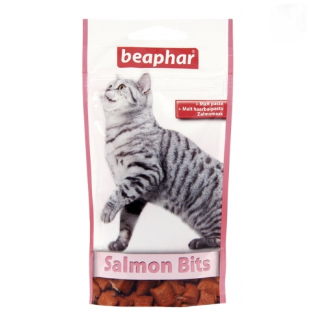Salmon Bits