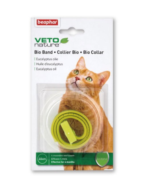 bio-band-cats_1