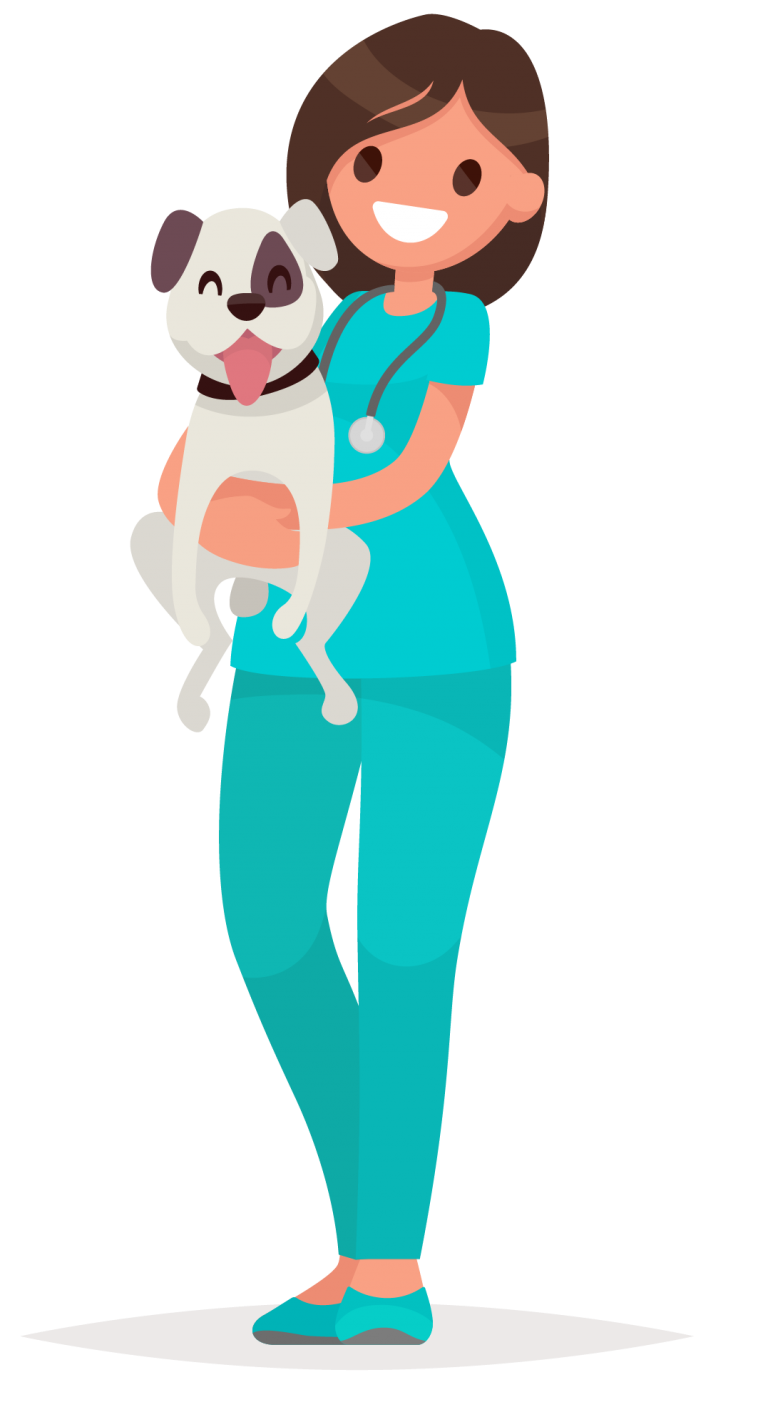 Sofa Veterinary Care Center Home