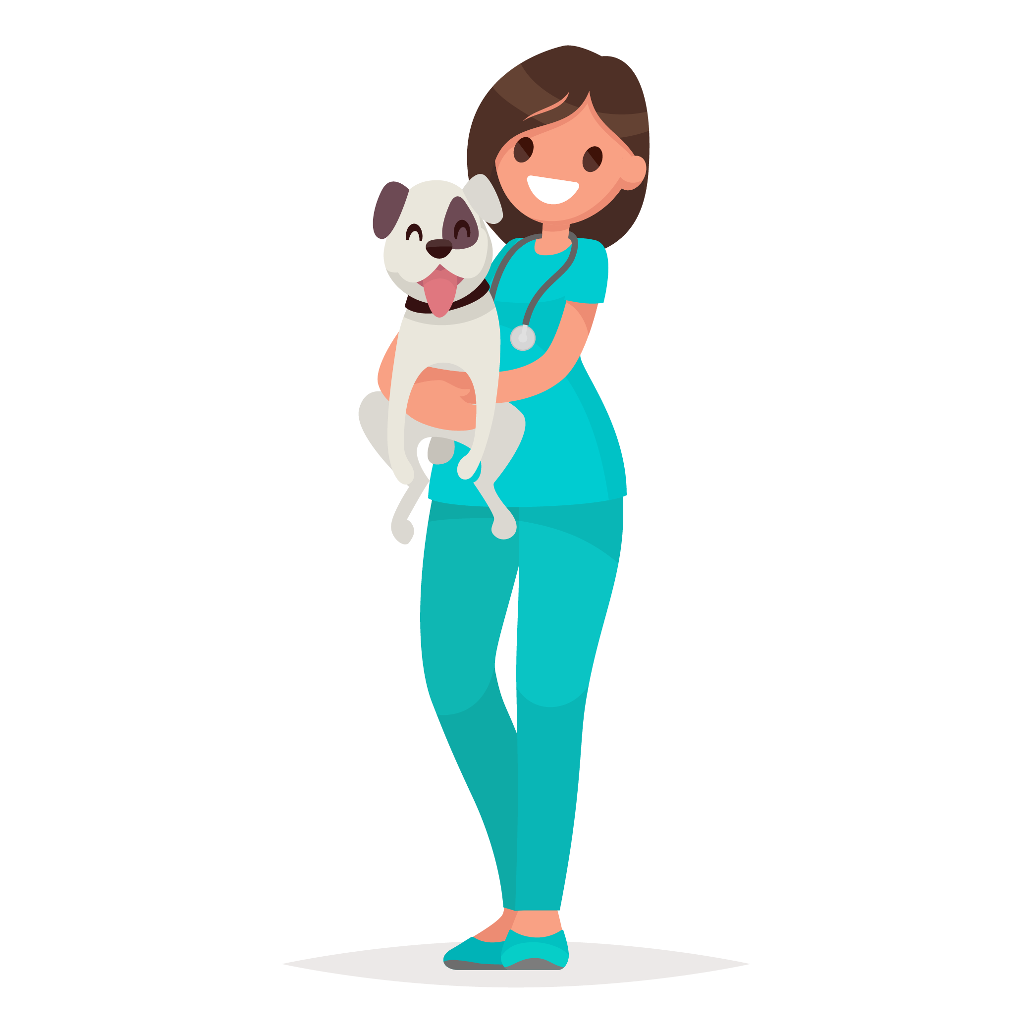 Sofa Veterinary Care Center Home